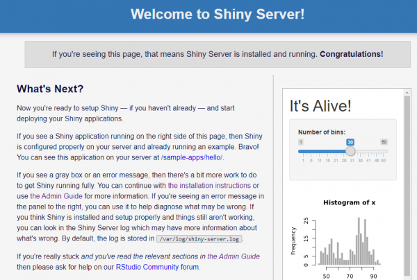 aws shiny server